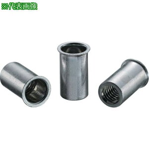 ���G�r �u���C���h�i�b�g�g�G�r�i�b�g�h(�����E�X�e�B�[����) ��1.5 M5×0.8(1000��)�k�i��:NSK515M�l�y3725006:0�z[�X�����s��]
