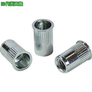 ���G�r ���[���b�g�i�b�g(�����E�X�e�B�[����) ��2.5 M5×0.8(1000��)�k�i��:NSK5MR�l�y3725031:0�z[�X�����s��]