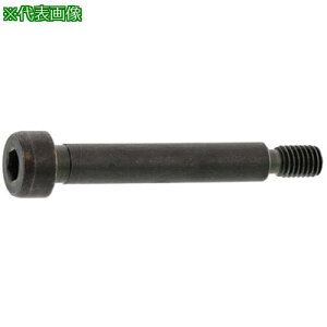 ��SUNCO GOSHO�V�����_�[BT ST�^�C�v 8 X 45 (3�{��)�k�i��:A000601G00800450003P�l�y3725724:0�z[�����ʓr���ς�][�f�O���][�X�����s��]