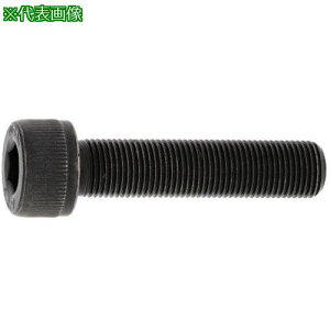 ��SUNCO �X�e��CAP(�Z�p���t���{���g)(�ז� �s�b�` 1.0 10 X 45 (2�{��)�k�i��:A002000301000450002P�l�y3729296:0�z[�����ʓr���ς�][�f�O���][�X�����s��]