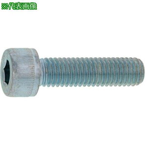 SUNCO XeCAP(H 20×145 (1{)ki:A002000C02001450001Ply3730010:0z[ʓrς][fO][Xs]