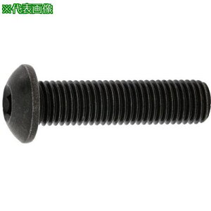 ��SUNCO �{�^��CAP(UNF 5/16×1/2 (6�{��)�k�i��:A000104080258040006P�l�y3730122:0�z[�����ʓr���ς�][�f�O���][�X�����s��]