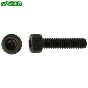 SUNCO A2-100 XeCAP 6×40 (5{)ki:A002030000600400005Ply3731644:0z[ʓrς][fO][Xs]