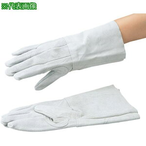 AS nڗpv AT-WLG02 ki:3180411ly3734198:0z[ʓrς][fO][Xs]