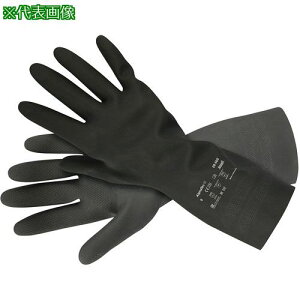 AS wh 29-500 L ki:482202ly3737484:0z[ʓrς][fO][Xs]