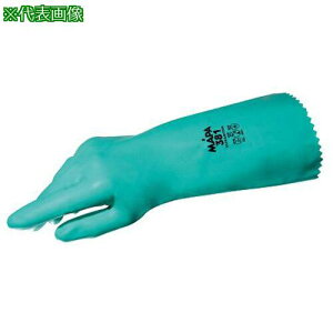 AS EgjgL 381-8 ki:4251602ly3740361:0z[ʓrς][fO][Xs]