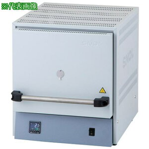 AS dCF 8.2/1100 LHM01 ki:4221011ly3744344:0z[ʓrς][fO][Xs]