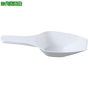 AS 250 vʃXRbvSCC ki:4296303ly3747279:0z[ʓrς][fO][Xs]