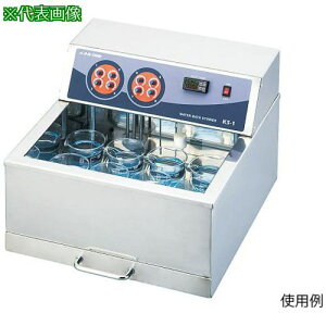 AS KS-1X PX^[[oX ki:1390321ly3749895:0z[ʓrς][fO][Xs]