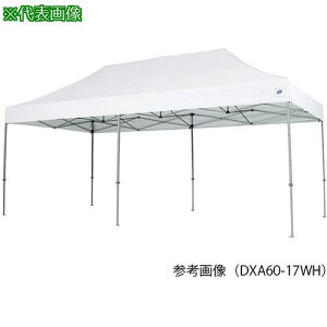 AS egDX60-17WHki:7282904ly3750395:0z[ʓrς][@lEƏ][O][Xs]