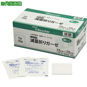 AS xXCŋې܃K[[S12-7575 Ski:8244502ly3750457:0z[ʓrς][fO][Xs]