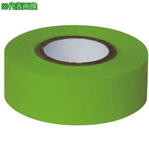 ��AS �ϋv�J���[�e�[�v ASO-T24-3 �΁k�i��:3987403�l�y3761272:0�z[�����ʓr���ς�][�f�O���][�X�����s��]