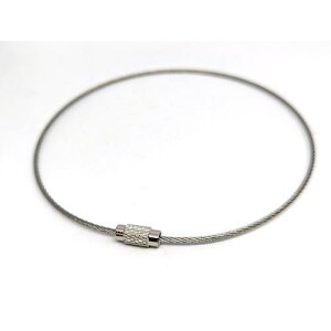 jbT`FC XeXL[C[(100)ki:SKE99ly3778934:0z[ʓrς][fO][Xs]