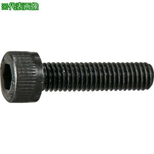 ��TRUSCO �Z�p���t�{���g ������ �S�l�W M6×15 10�{�� ���ʃp�b�N /�L���b�v�{���g(CAP)�k�i��:Y8040615�l�y3796400:0�z[�X�����s��]
