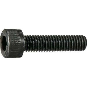 ��TRUSCO �Z�p���t�{���g ������ �S�l�W M5×20 10�{�� ���ʃp�b�N /�L���b�v�{���g(CAP)�k�i��:Y8040520�l�y3796404:0�z[�X�����s��]