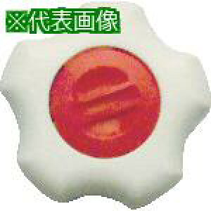 O tBbgmu M12 {/ Lbv/ (5)ki:FITWM12R5Ply3816788:0z[Xs]