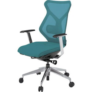 ��ITOKI �Z�N�A�`�F�A �n�C�o�b�N �x�[�X�J���[ZT T�^�I ���n �X�g�����O�u���[�k�i��:KG365JV1ZTA3�l�y3818524:0�z[�����ʓr���ς�][�@�l�E���Ə�����][�O����][�X�����s��]