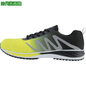 XEBEC ZteBV[Y85151-85-255 CCG[ki:8515185255ly3838693:0z[ʓrς][fO][Xs]