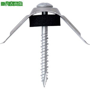 WAKAI _o ؉np gZbg gX X[ggp 5X75ki:69SC750ly3850589:0z[ʓrς][fO][Xs]