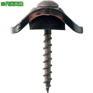 WAKAI _o ؉np gZbg Sgp gX |J uY 4X35 (100{)ki:68431MPly3861487:0z[ʓrς][fO][Xs]