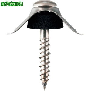 WAKAI _o ؉np gZbg Sgp gX XeX 5X35 (100{)ki:68535MSly3861512:0z[ʓrς][fO][Xs]