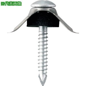 WAKAI _o ؉nEA~np gZbg Sgp gX Vo[ 5X35 (100{)ki:68535RSly3863033:0z[ʓrς][fO][Xs]