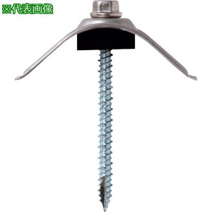 WAKAI _o XeLbv ؉np gZbg Sgp 5.3X65 (50{)ki:6965CTOly3863062:0z[ʓrς][fO][Xs]