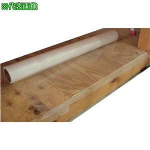 ��WAKAI ���{���G�[�X �t���� 1mX30m�s4�����t�k�i��:C01030R�l�y3866194×4:0�z[�����ʓr���ς�][�f�O���][�X�����s��]