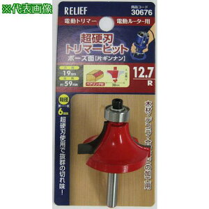 RELIEF dng}[rbg {[Y 12.7Rki:30676ly3884910:0z[ʓrς][fO][Xs]