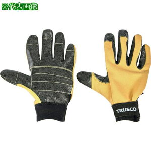 TRUSCO ˂hh MTCYki:PRGM4ly3886784:0z[Xs]