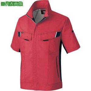 ACgX j[[rJbg tĔu] bh×`R[O[ 6Lki:AZ68320096Lly3900774:0z[ʓrς][fO][Xs]