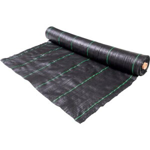 O[NX hV[g 1m×50m (U)ki:6300021132ly3902304:0z[ʓrς][@lEƏ][O][Xs]