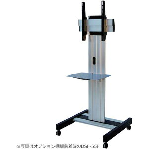 OS ^fBXvCX^hki:DSF55Fly3919568:0z[ʓrς][@lEƏ][O][Xs]