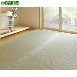 ���y�݌Ɍ���z�哇�� �E���^���\�肢����~�� �ڊy �]�ˊ�6�� 261×352cm�k�i��:27637�l�y3924226:0�z[�X�����s��]