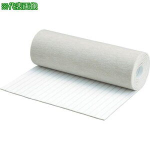 ��TRUSCO �y���ؔp�ԁz �z���{���V�[�g 50mmX2m �x�[�W���k�i��:TFT502BE�l�y4029445:0�z[�X�����s��]