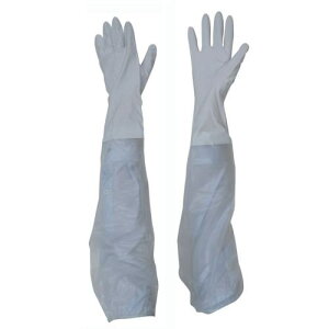 g rJo[t rjX^[rJo[t Lki:767Lly4094735:0z[Xs]