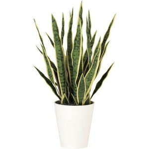 O[NX TXxA|bg65cmki:6300029343ly4103747:0z[ʓrς][@lEƏ][O][Xs]