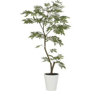 O[NX Go[tbV1.2mki:6300029326ly4103811:0z[ʓrς][@lEƏ][O][Xs]