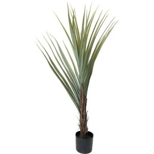 O[NX 160cmAKxei[^ki:6300029228ly4105324:0z[ʓrς][@lEƏ][O][Xs]