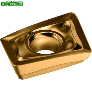 ��Walter �~�[�����O���H�p �Ђ��`�|�W�`�b�v WKP35S�s10���t�k�i��:LDMT08T204RD57�l�y4109289×10:0�z[�����ʓr���ς�][�f�O���][�X�����s��]