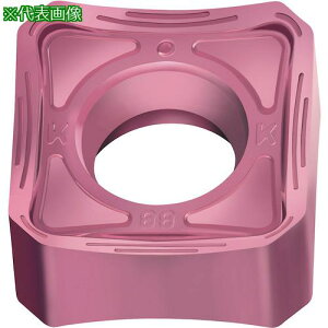 ��Walter �~�[�����O���H�p �����`�l�K�`�b�v WXN15�s10���t�k�i��:SNHX0904ANNK88�l�y4109577×10:0�z[�����ʓr���ς�][�f�O���][�X�����s��]