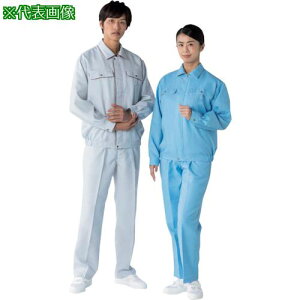 TriApex ESD΍􃆃jtH[ 㒅 JG2502 O[ 3Lki:JG250205203Lly4110649:0z[ʓrς][fO][Xs]