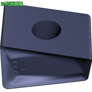 ��Walter �~�[�����O���H�p �Ђ��`�c�u���`�b�v WHH15X�s10���t�k�i��:LNHX0904PDRL55T�l�y4111503×10:0�z[�����ʓr���ς�][�f�O���][�X�����s��]