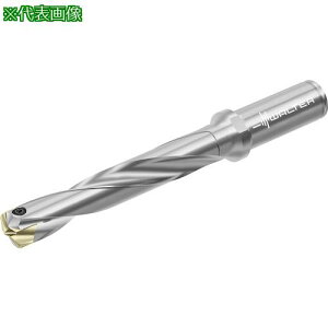 ��Walter �`�b�v�������h���� D4140�k�i��:D41400514.00A16B�l�y4112875:0�z[�����ʓr���ς�][�f�O���][�X�����s��]