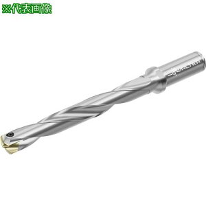 ��Walter �`�b�v�������h���� D4140�k�i��:D41400724.00A25G�l�y4112937:0�z[�����ʓr���ς�][�f�O���][�X�����s��]