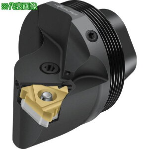 ��Walter �������w�b�h �߂˂� T1820-Q...-P�k�i��:T1820Q32R16IP�l�y4113062:0�z[�����ʓr���ς�][�f�O���][�X�����s��]