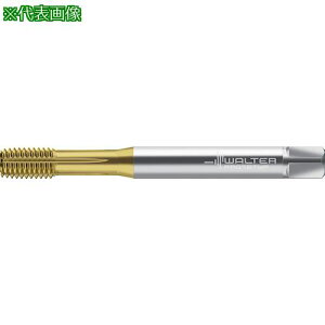 ��Prototyp HSS-E- �]���^�b�v�k�i��:TC440M5C2WY80AD�l�y4113801:0�z[�����ʓr���ς�][�f�O���][�X�����s��]