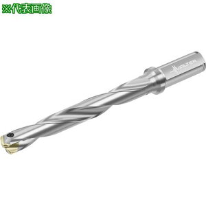 ��Walter �`�b�v�������h���� D4140�k�i��:D4140.0712.00F15A�l�y4114368:0�z[�����ʓr���ς�][�f�O���][�X�����s��]