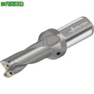 ��Walter �`�b�v�������h���� D4120�k�i��:D4120.0350.80F51P48�l�y4115407:0�z[�����ʓr���ς�][�f�O���][�X�����s��]