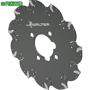 ��Walter �X���b�g����уL�[�a�p�J�b�^�[�k�i��:F5055.B32.125.Z11.30�l�y4115674:0�z[�����ʓr���ς�][�f�O���][�X�����s��]